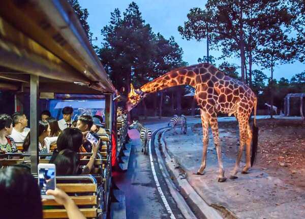 Chiang Mai Night Safari Tram