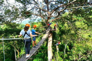 zipline