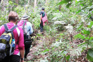 Embark on the Adventure of a Lifetime on Chiang Mai's Trails!