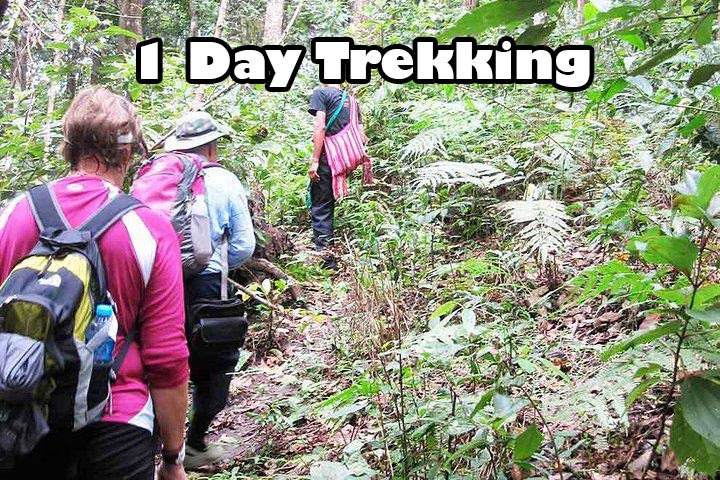 1 day trek