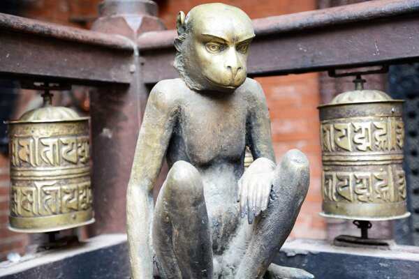 Kathmandu temple monkey