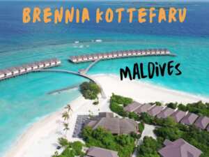 Brennia Kottefarv Maldives