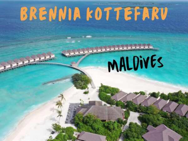 Brennia Kottefarv Maldives