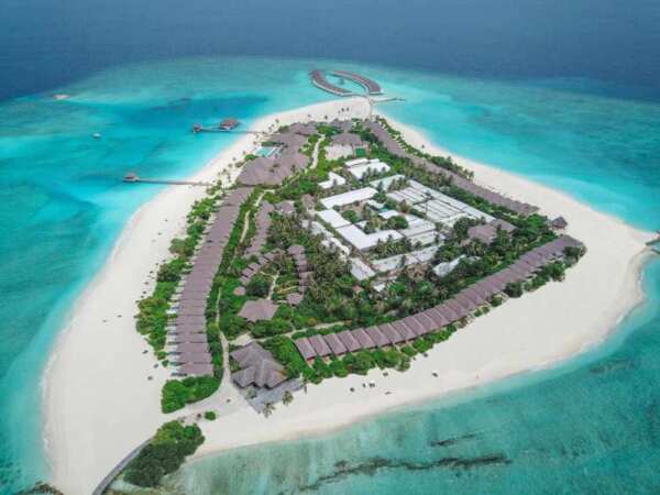 Brennia Kottefarv Maldives